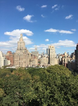 Vista biblioteca NYU Oct 3 17