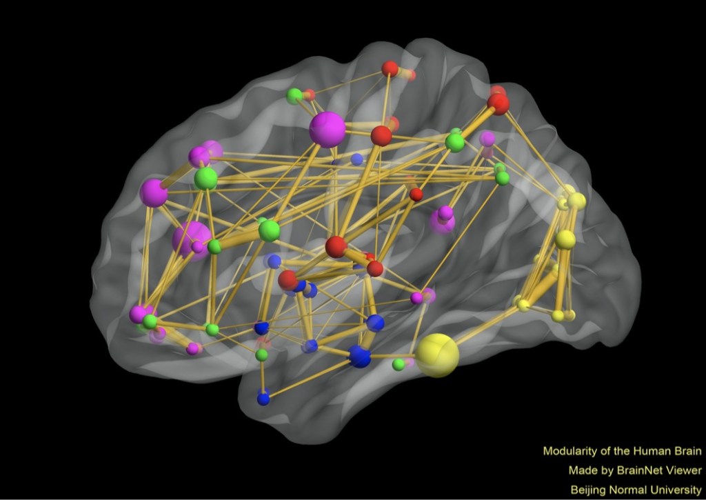 El cerebro es una quisicosa, revisitada:&nbsp;2014-2022